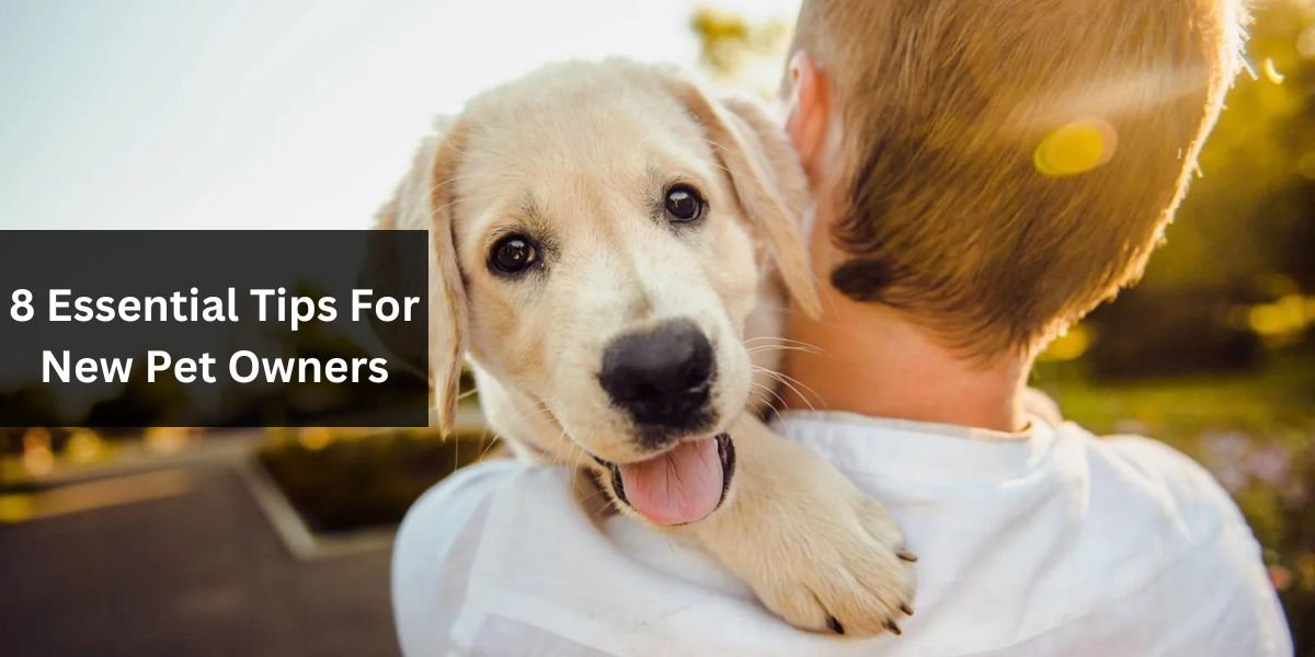 8 Essential Tips For New Pet Owners